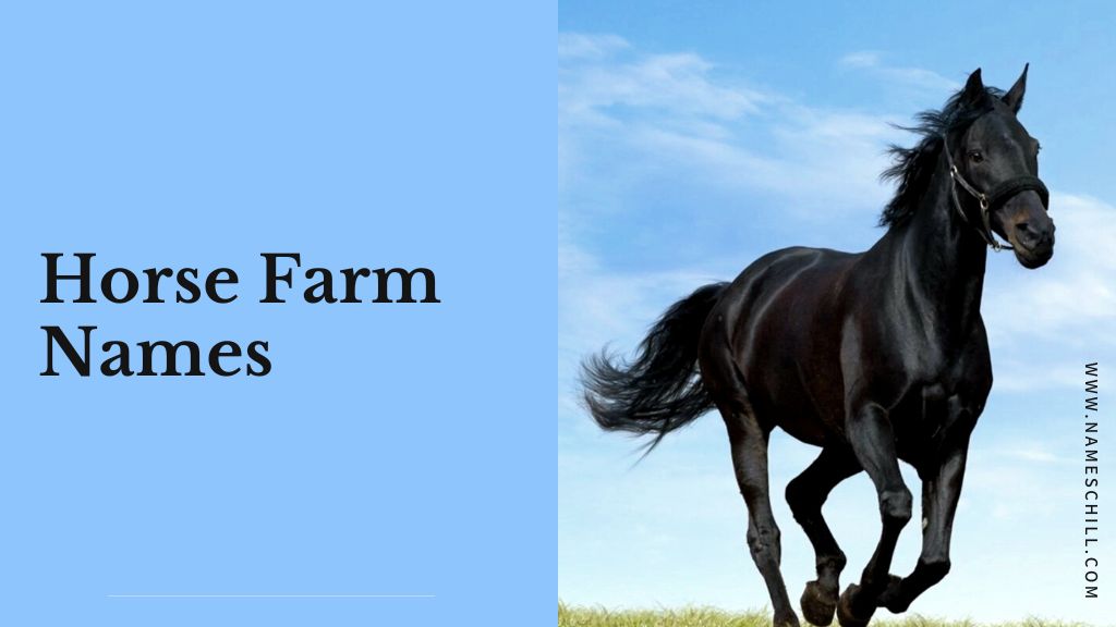 Horse Farm Names