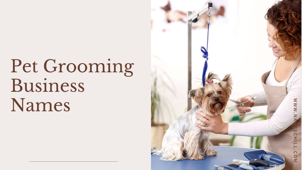pet grooming business names